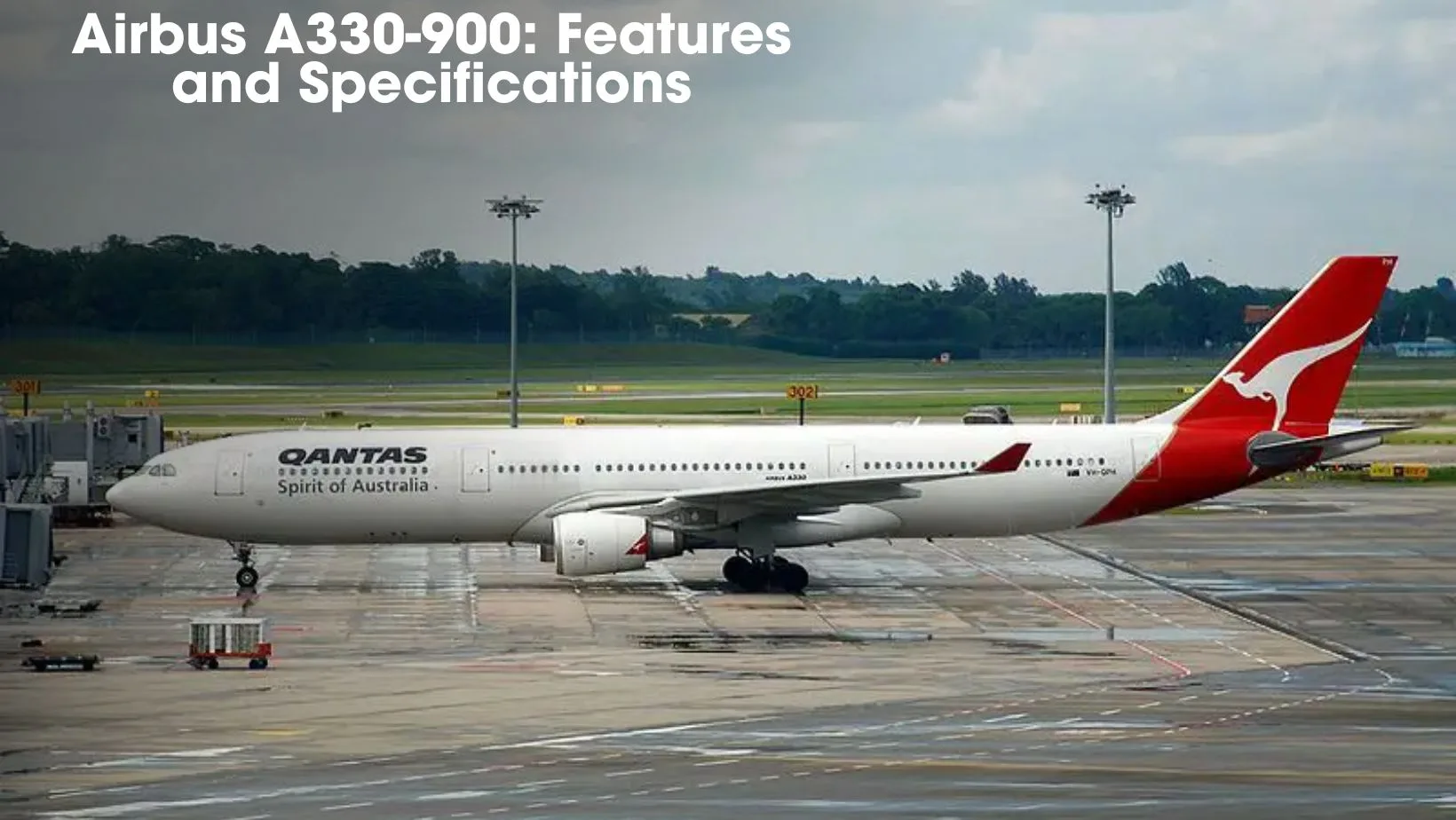 Inside the Airbus A330-900: Features and Specifications